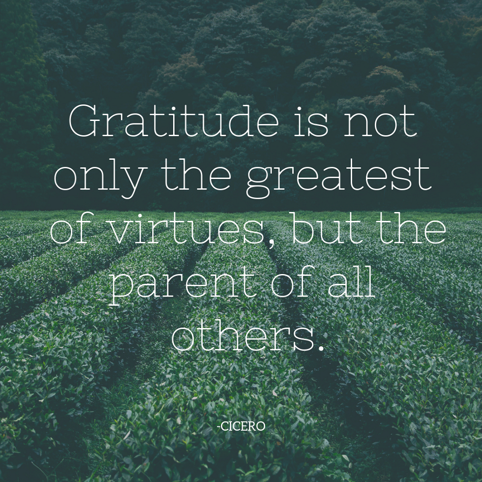 GRATITUDE IS NOT ONLY THE GREATEST OF VIRTUES, BUT THE PARENT OF ALL OTHERS QUOTE CICERO