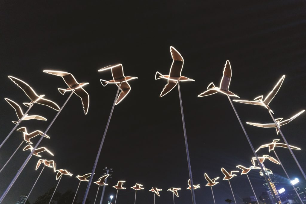 HONG KONG, HONG KONG - JANUARY 17: Birds fly around with you installation is displayed at the Hong Kong Pulse Light Festival International Light Art Display on January 17, 2019 in Hong Kong, Hong Kong. (Photo by Anthony Kwan/Getty Images for Hong Kong Tourism Board)