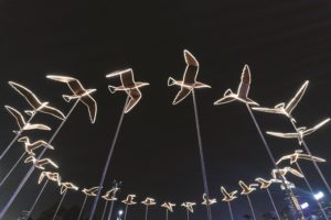 HONG KONG, HONG KONG - JANUARY 17: Birds fly around with you installation is displayed at the Hong Kong Pulse Light Festival International Light Art Display on January 17, 2019 in Hong Kong, Hong Kong. (Photo by Anthony Kwan/Getty Images for Hong Kong Tourism Board)